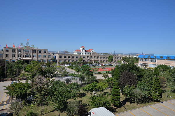 Group Environment