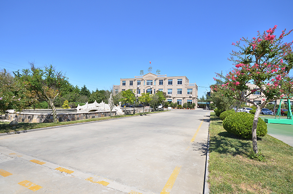 Group Environment