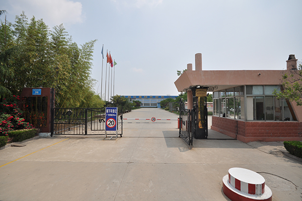 Group Environment